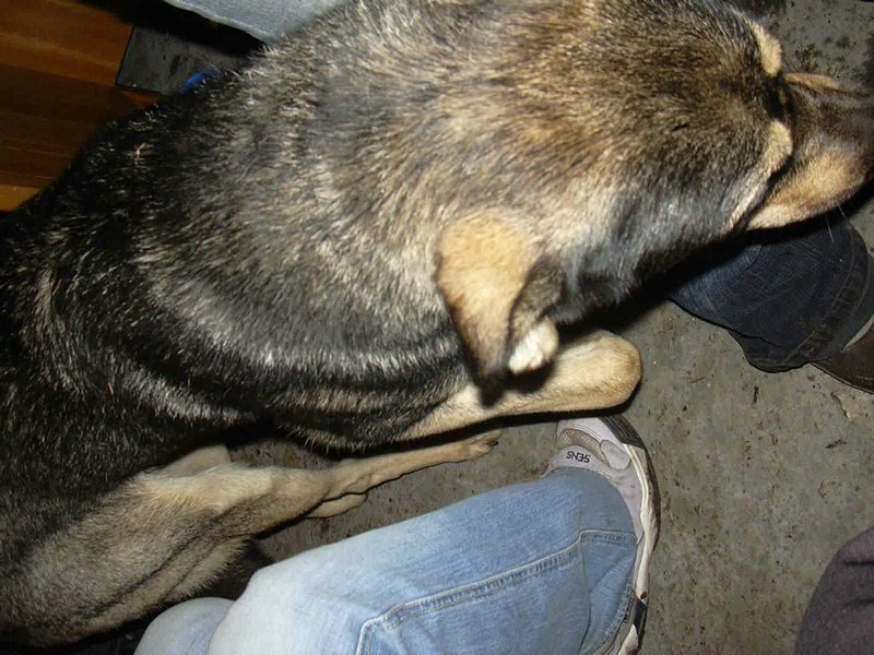 DSCN0038.JPG
